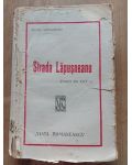 Strada Lapusneanu- Mihail Sadoveanu