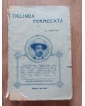 Oglinda fermecata- D. Anghel