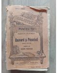 Bouvard si Pecuchet- Gustave Flaubert