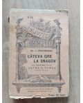 Cateva ore la Snagov- Petre V. Hanes