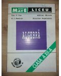 Algebra: clasa a 12-a - Ion D. Ion, N. I. Nedita