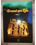 Drumul spre Efes 3- Vasile Popa Homiceanu