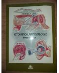 Orto-rino-laringologie - Cornelia Ursu