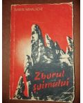 Zborul suimului- Marin Mihalache
