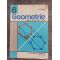 Geometrie. Manual pentru clasa a 6-a - A. Hollinger