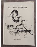 Te astept, luminind... - Iulia Dora Marinescu