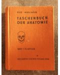 Taschenbuch der anatomie- Voss Herrlinger