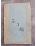 Zile de vara- C. Paustovschi