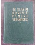Te slavim Rominie pamint stramosesc 2