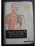 Anatomia omului