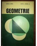 Geometrie- Edwin E. Moise, Floyd L. Downs