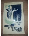 In asteptarea zapezilor- Ana Maslea