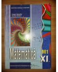 Matematica. Manual pentru clasa a 11-a M1 - Csapo Hajnalka, Andras Szilard
