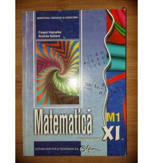 Matematica. Manual pentru clasa a 11-a - Csapo Hajnalka, Andras Szilard