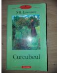 Curcubeul- D. H. Lawrence