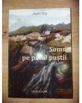 Somn pe patul pustii- Vasile Filip