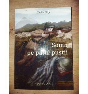 Somn pe patul pustii- Vasile Filip