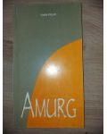 Amurg- Vasile Filip