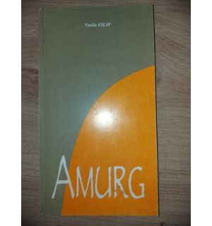 Amurg- Vasile Filip