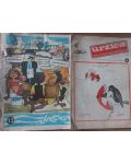 Revista URZICA nr 13 Anul 1971 + nr 6 anul 1981