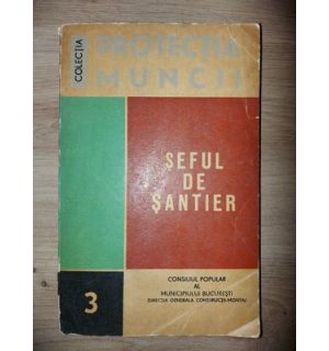 Seful de santier 3- Nicolae Zaharia