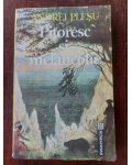 Pitoresc si melancolie- Andrei Plesu