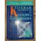 Itinerar elementar in algebra superioara- Toma Albu, Ion D. Ion