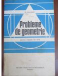 Probleme de geometrie pentru clasele VI-VIII
