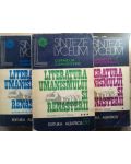 Literatura umanismului si renasterii 1, 2, 3- Cornelia Comorovski