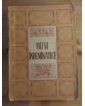 Miini indeminatice