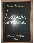 Locuri comune- Adrian Paunescu