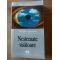 Nestemate visatoare- Theodore Sturgeon