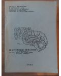 Anatomia sistemului nervos central 1- I. Petrovanu, N. Cozma