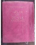 Atlas of human anatomy 1- R. D. Sinelnikov