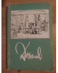 Desenul- Gunter C. D. Bollenbach