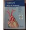 THIEME Atlas of Anatomy Neck and internal organs