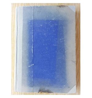 Lupta cu inertia- Nicolae Labis