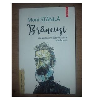 Brancusi sau cum a invatat testoasa sa zboare- Moni Stanila
