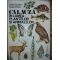 Calauza in lumea plantelor si animalelor- Constantin Parvu, Stoica Godeanu