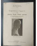 Expresia figurii in plastica Evului Mediu german- Virgil Tempeanu
