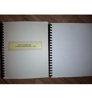 Sfanta scriptura Faptele apostolilor Transcriere in Braille