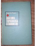 Anatomia topografica a taurinelor- Eugeniu Pastea