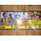 DVD Brigada Diverse intra in actiune