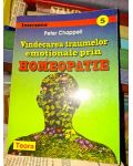 Vindecarea traumelor emotionale prin homeopatie-Peter Chappell
