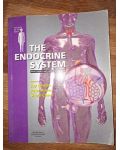 The endocrine system  Joy P. Hinson , Peter H. Raven , Shern L. Chew