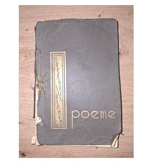 Poeme de Esenin- George Lesnea