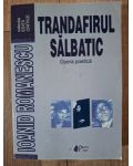 Trandafirul salbatic- Ioanid Romanescu