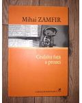 Cealalta fata a prozei- Mihai Zamfir