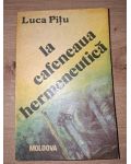 La cafeneaua hermeneutica- Luca Pitu