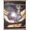 Dobrovat- Vasile Dragut